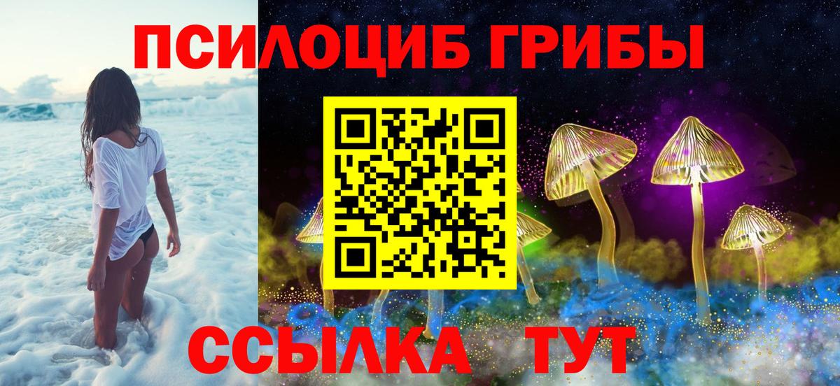 Михайловск  сколько стоит  Вход с VPN  Псилоцибиновые грибы ЛСД  Галлюциногенные грибы прущие грибы 